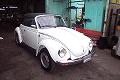 ���VW 1977�N�� TYPE-1 CONVERTIBLE (���[�Q���r�[�g�� �^�C�v1)