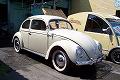 ���VW 1954�N�� TYPE-1 OVAL (���[�Q���r�[�g�� �^�C�v1)