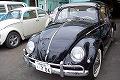 ���VW 1955�N�� TYPE-1 OVAL (���[�Q���r�[�g�� �^�C�v1)
