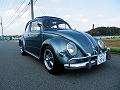 ���VW 1955�N�� TYPE-1 OVAL RagTop (���[�Q���r�[�g�� �^�C�v1)