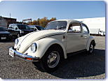 ���VW 1975�N�� TYPE-1 1200STD (���[�Q���r�[�g�� �^�C�v1)